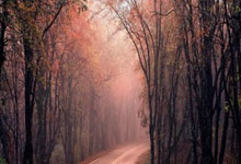 世界杯购彩网站 -广東(dōng)省：探索(suǒ)火箭制造、火箭發(fā)射回收技术