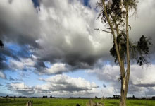 FIFA买球网站 -中科宇航火(huǒ)箭超级工厂竣工投产 力(lì)箭二号运载火(huǒ)箭迈入批量化生(shēng)产阶段