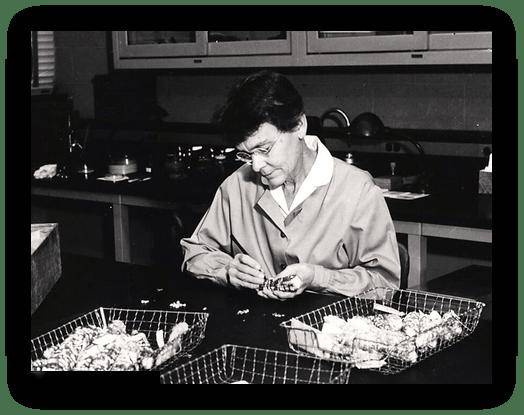 邮说医学史275：跳跃基因的先知——“玉米地里的独行侠”麦克林托克